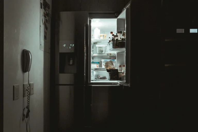 A modern, well-stocked refrigerator being powered by a 2000Wh portable power station during a 2026 grid blackout, illustrating home energy resilience.